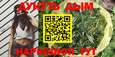 амф Бийск